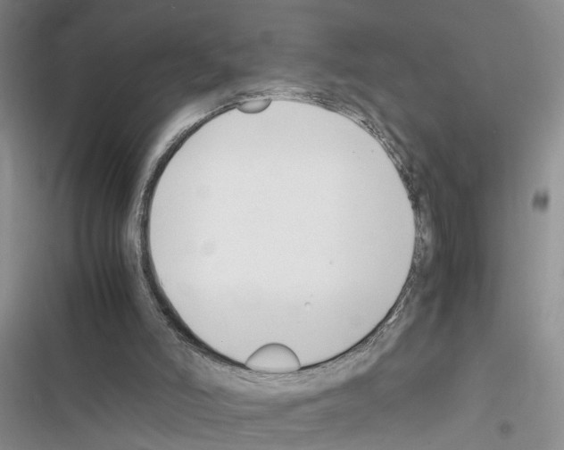 X0000116620006201001221349