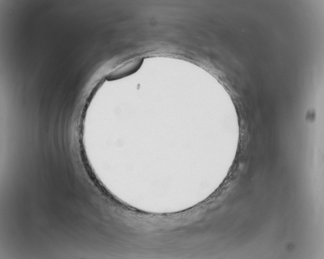 X0000116620007201001221349