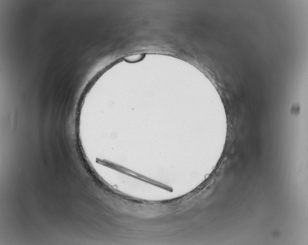 X0000116620008201001221349