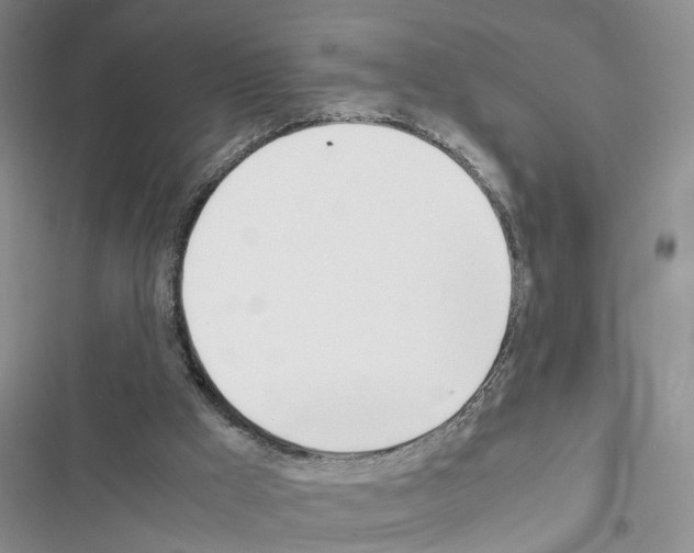 X0000116620009201001221349