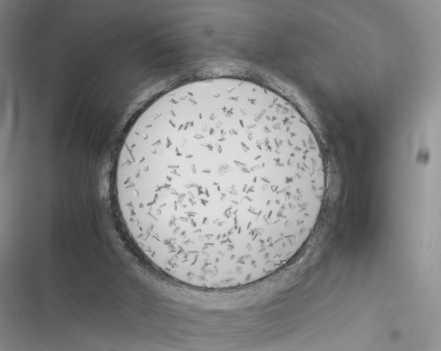 X0000116620010201001221349