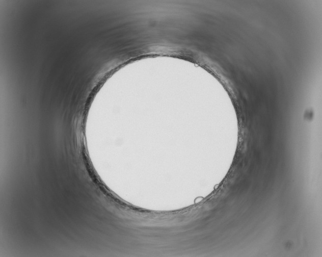 X0000116620011201001221349