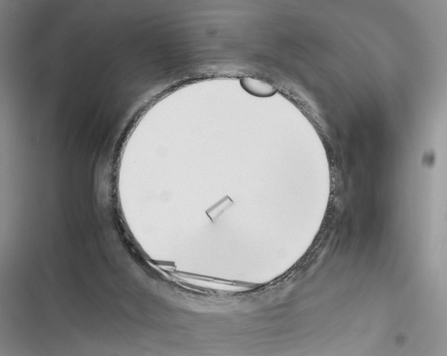 X0000116620012201001221349