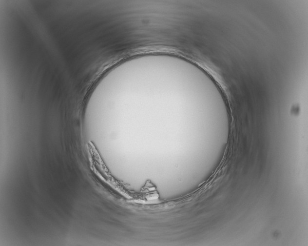 X0000116620013201001221349