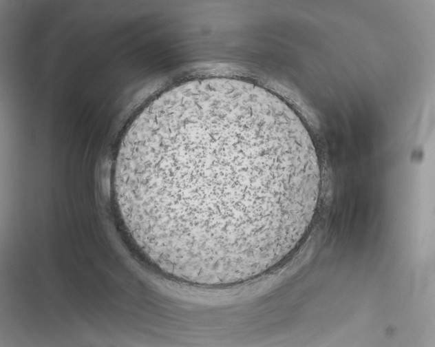 X0000116620014201001221349