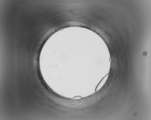 X0000116620015201001221349