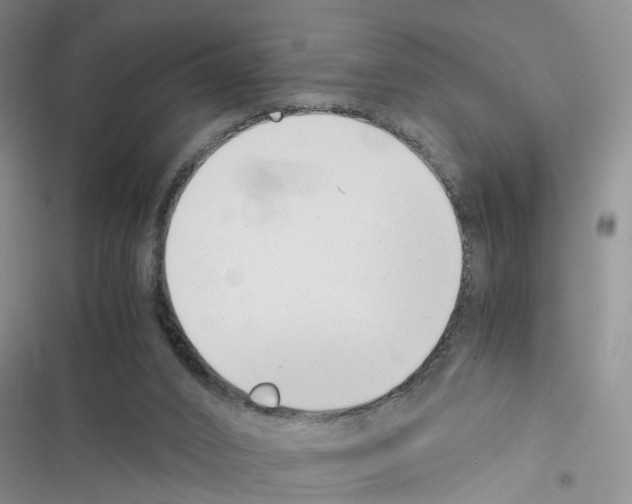 X0000116620016201001221349
