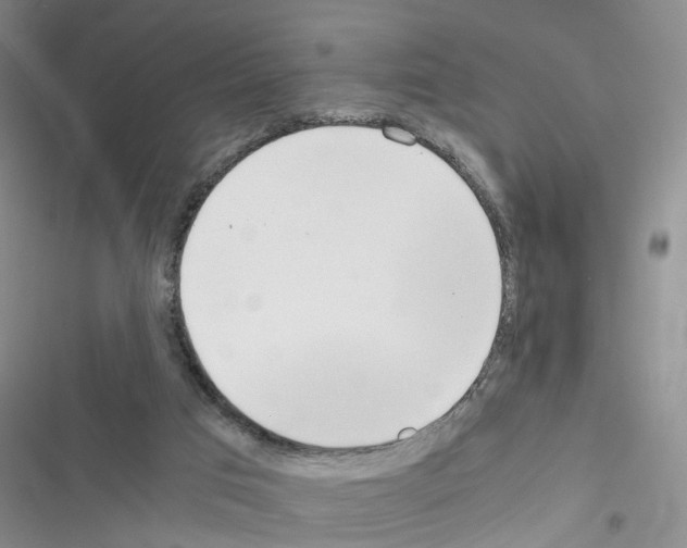 X0000116620017201001221349