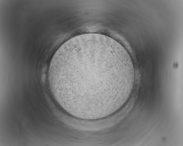 X0000116620018201001221349
