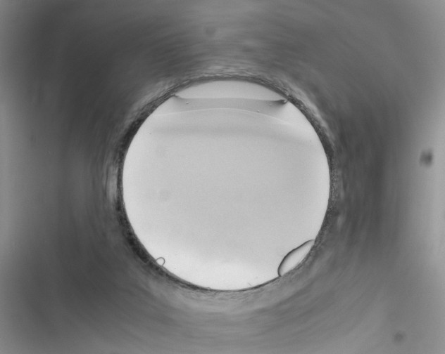 X0000116620019201001221349