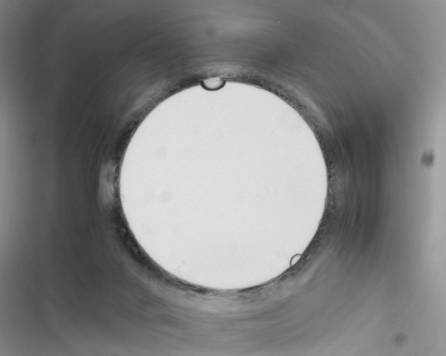 X0000116620024201001221349