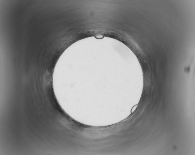 X0000116620025201001221349