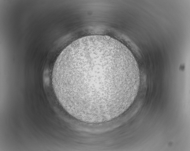 X0000116620026201001221349