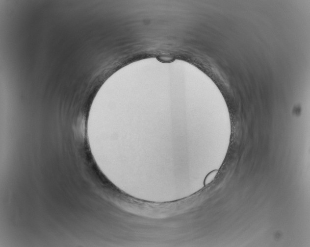 X0000116620027201001221349