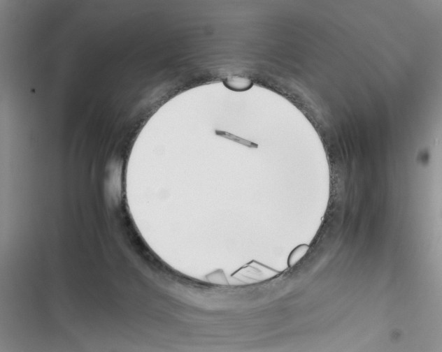 X0000116620028201001221349