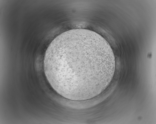 X0000116620030201001221349