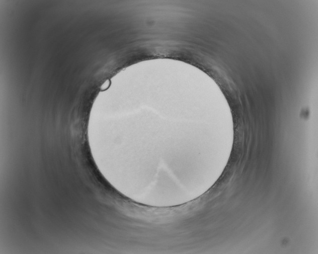 X0000116620031201001221349