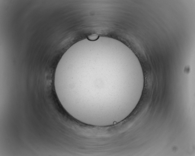 X0000116620032201001221349