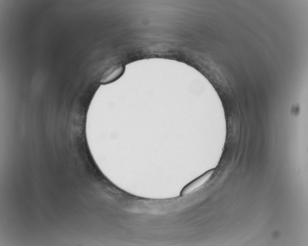 X0000116620033201001221349