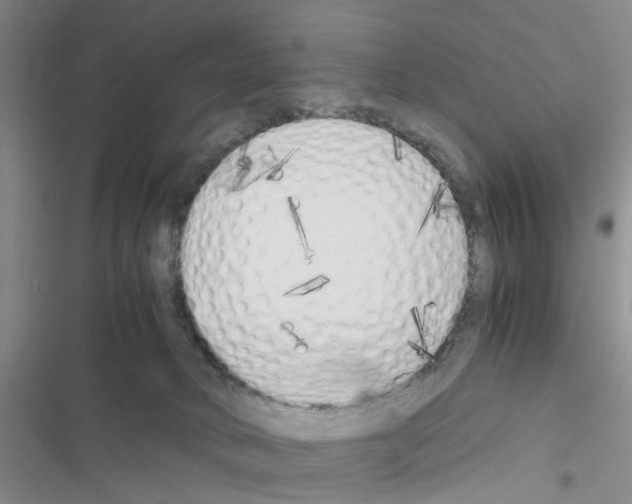 X0000116620034201001221349