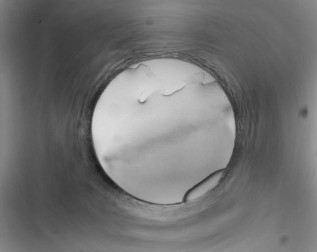 X0000116620035201001221349