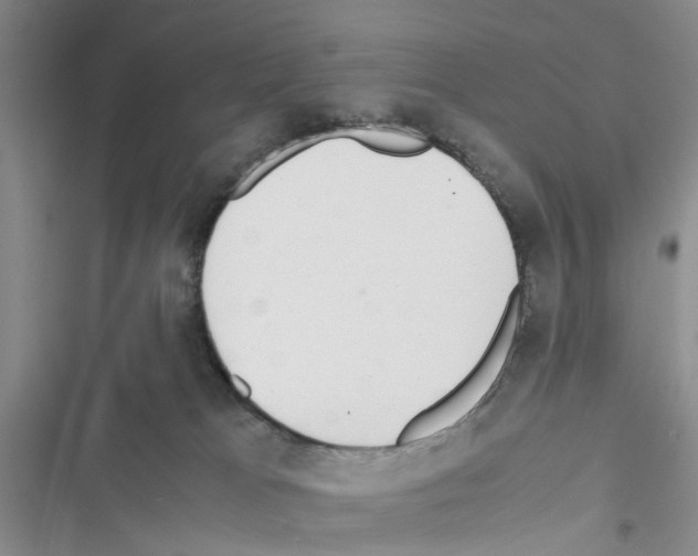 X0000116620037201001221349