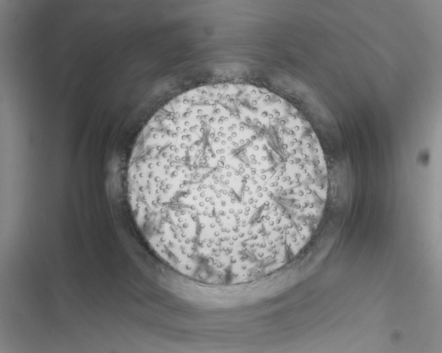X0000116620038201001221349