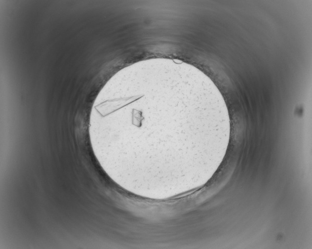 X0000116620040201001221349