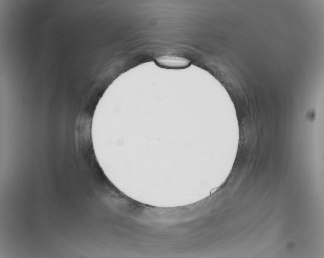 X0000116620041201001221349