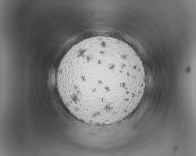 X0000116620042201001221349