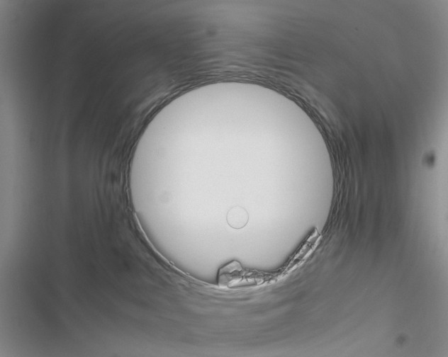 X0000116620043201001221349