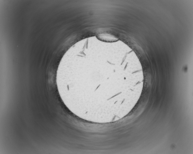 X0000116620044201001221349