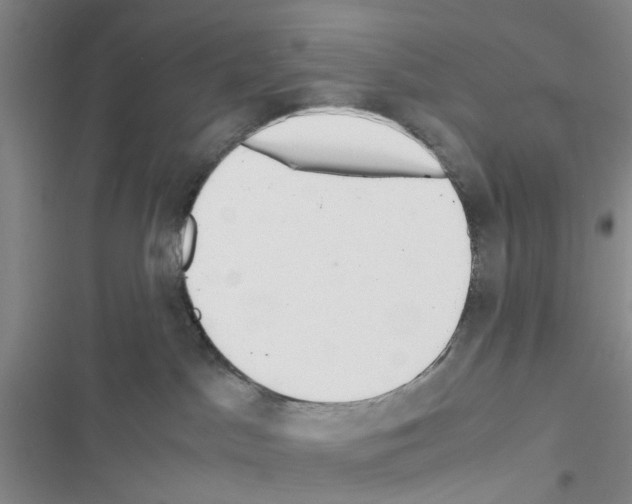X0000116620045201001221349