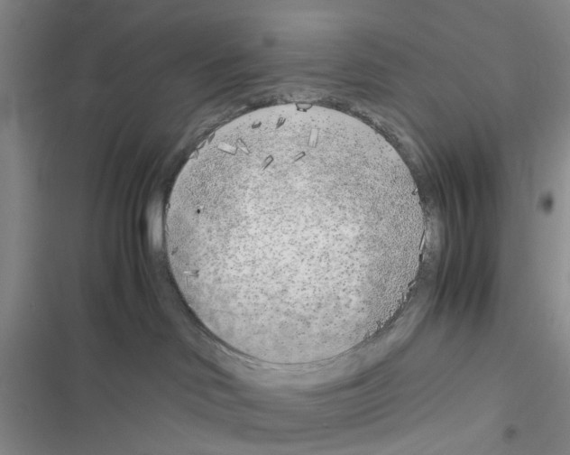 X0000116620046201001221349