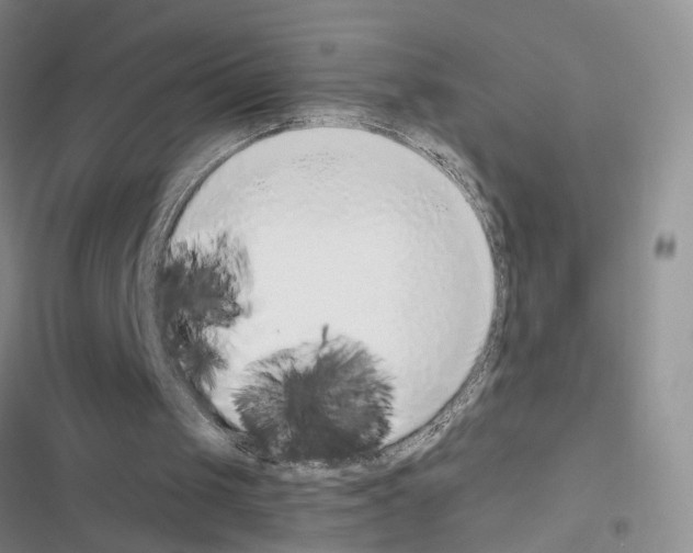 X0000116620049201001221348