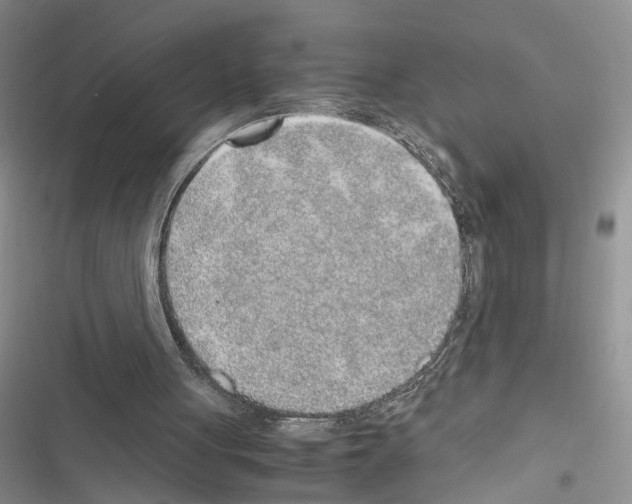 X0000116620051201001221348
