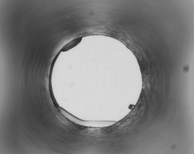 X0000116620052201001221348