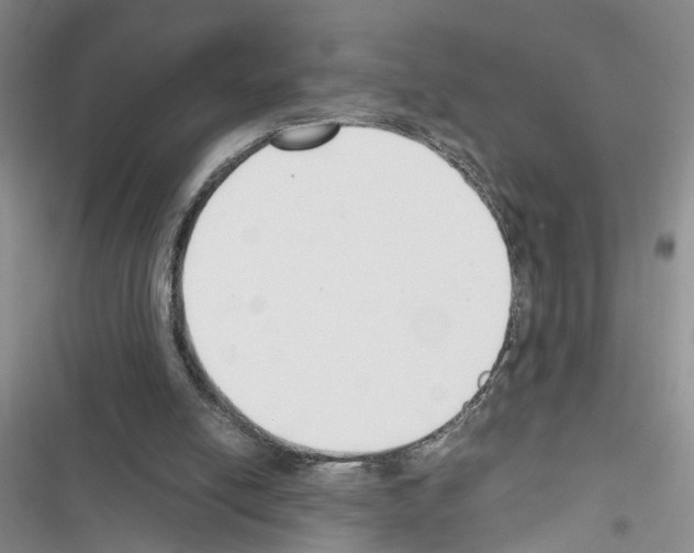 X0000116620054201001221348
