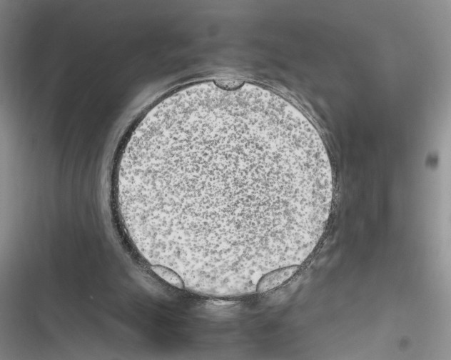 X0000116620055201001221348