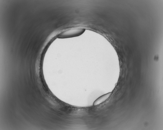 X0000116620056201001221348