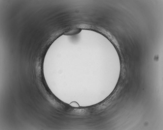 X0000116620057201001221348
