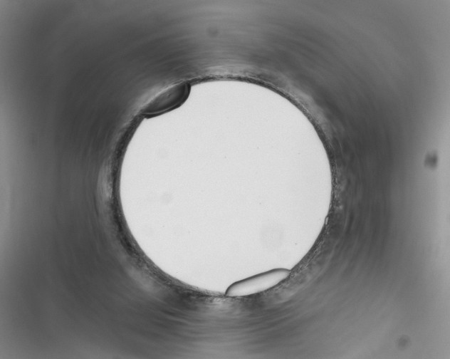 X0000116620060201001221348