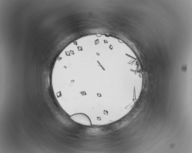 X0000116620061201001221348