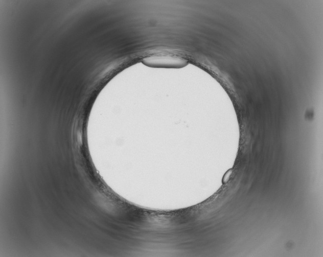 X0000116620062201001221348