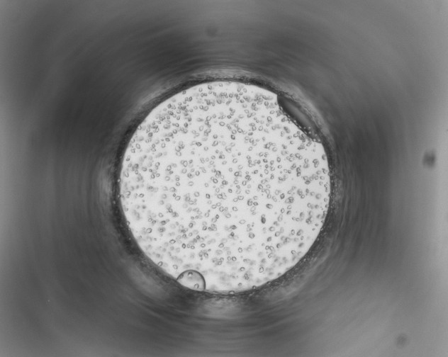 X0000116620063201001221348