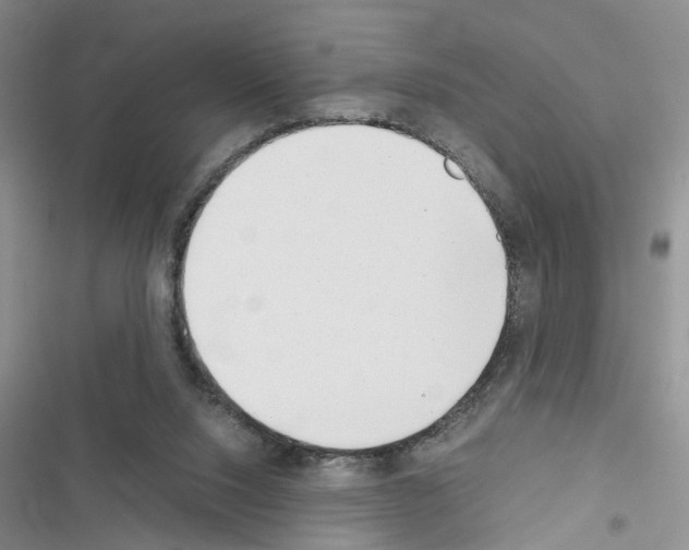 X0000116620064201001221348