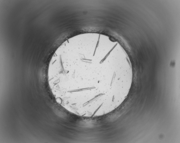 X0000116620065201001221348