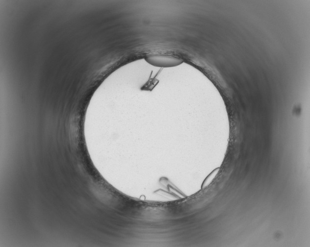 X0000116620066201001221348