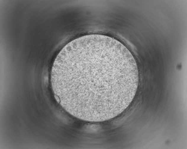 X0000116620067201001221348