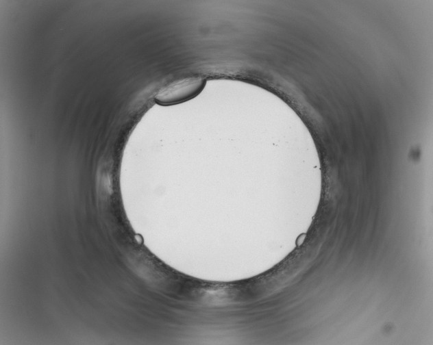 X0000116620068201001221348